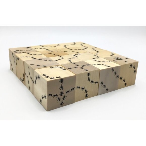 ANTICS Wooden Ant Tracks Army Blocks Full Set 16 Uncle Goose Toys Discontinued - Picture 3 of 7